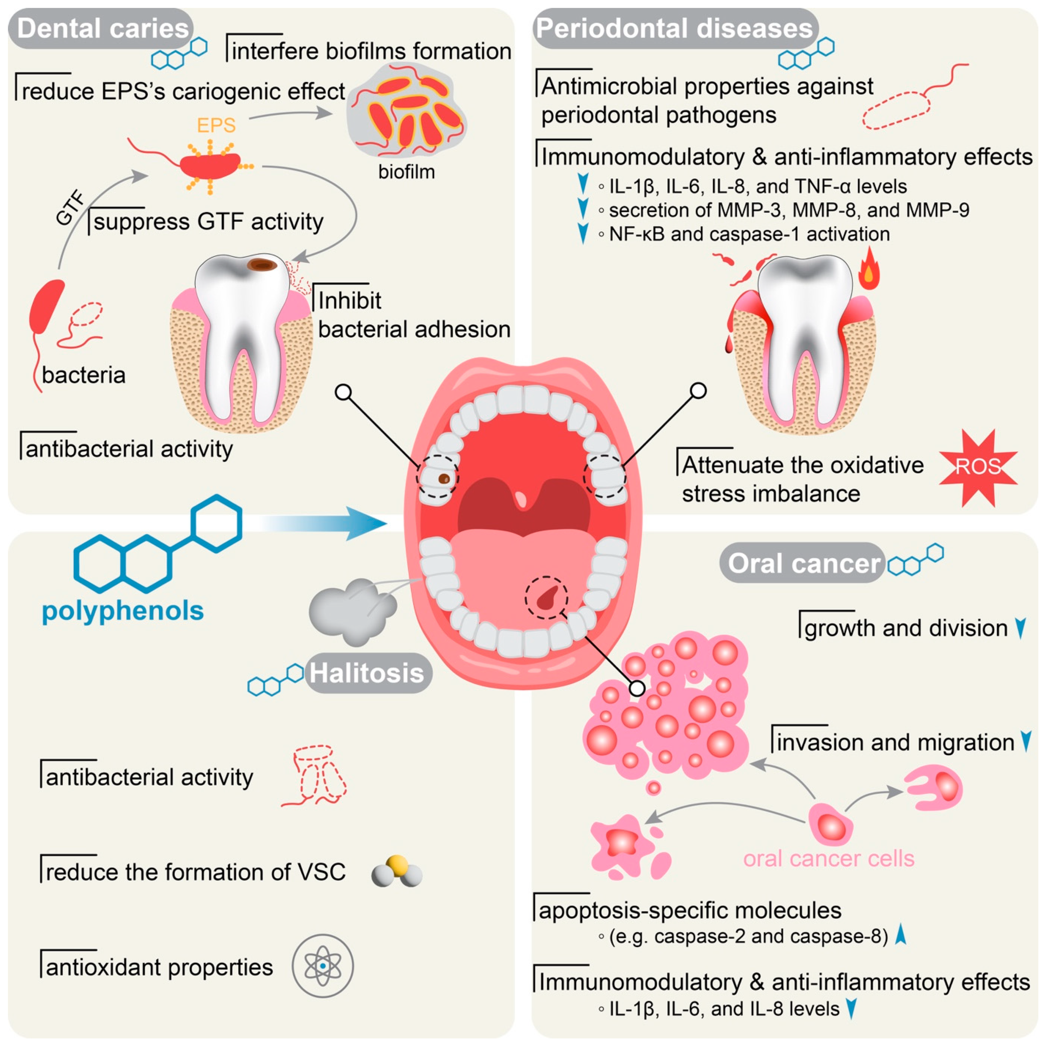 Polyphenols in oral health