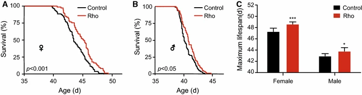 Rhodiola rosea extends lifespan in silkworm